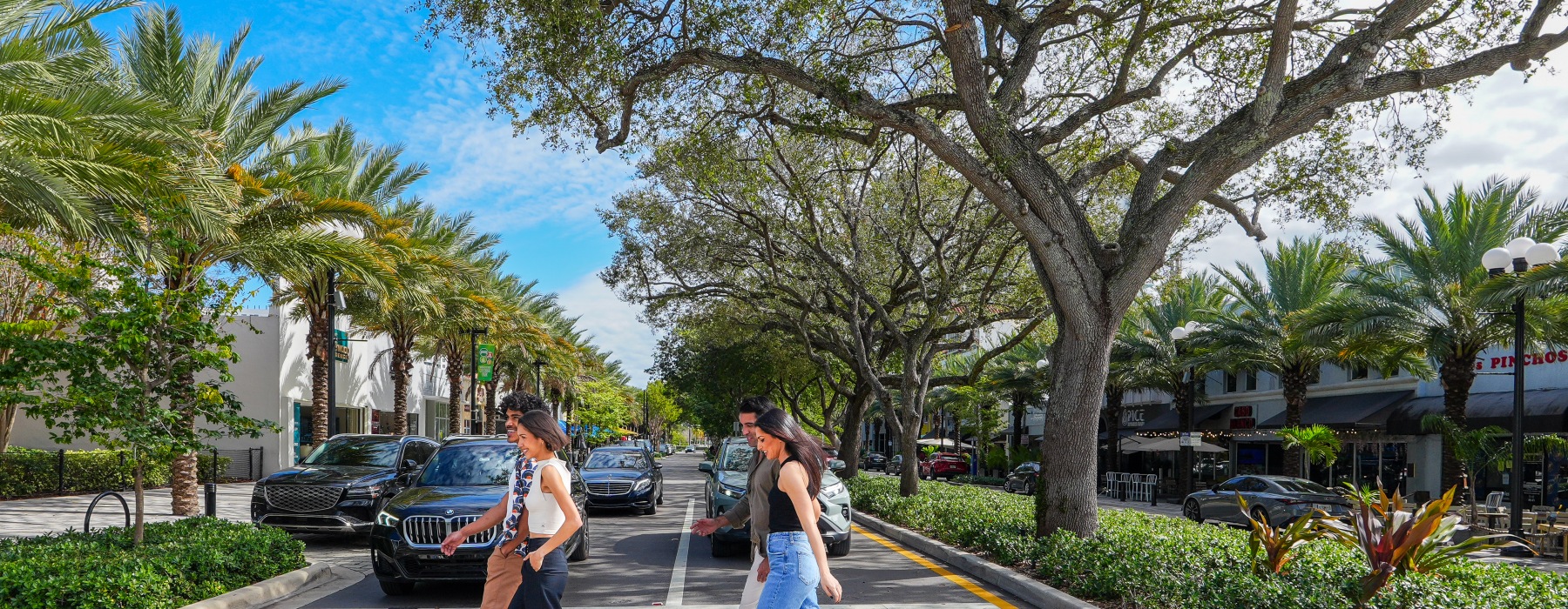 Residents walking along a palm-lined street near The Holly apartments in downtown Hollywood, FL close to shops, dining, and entertainment.